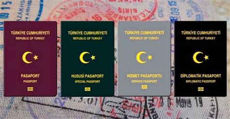 Pasaport renkleri ve özellikleri